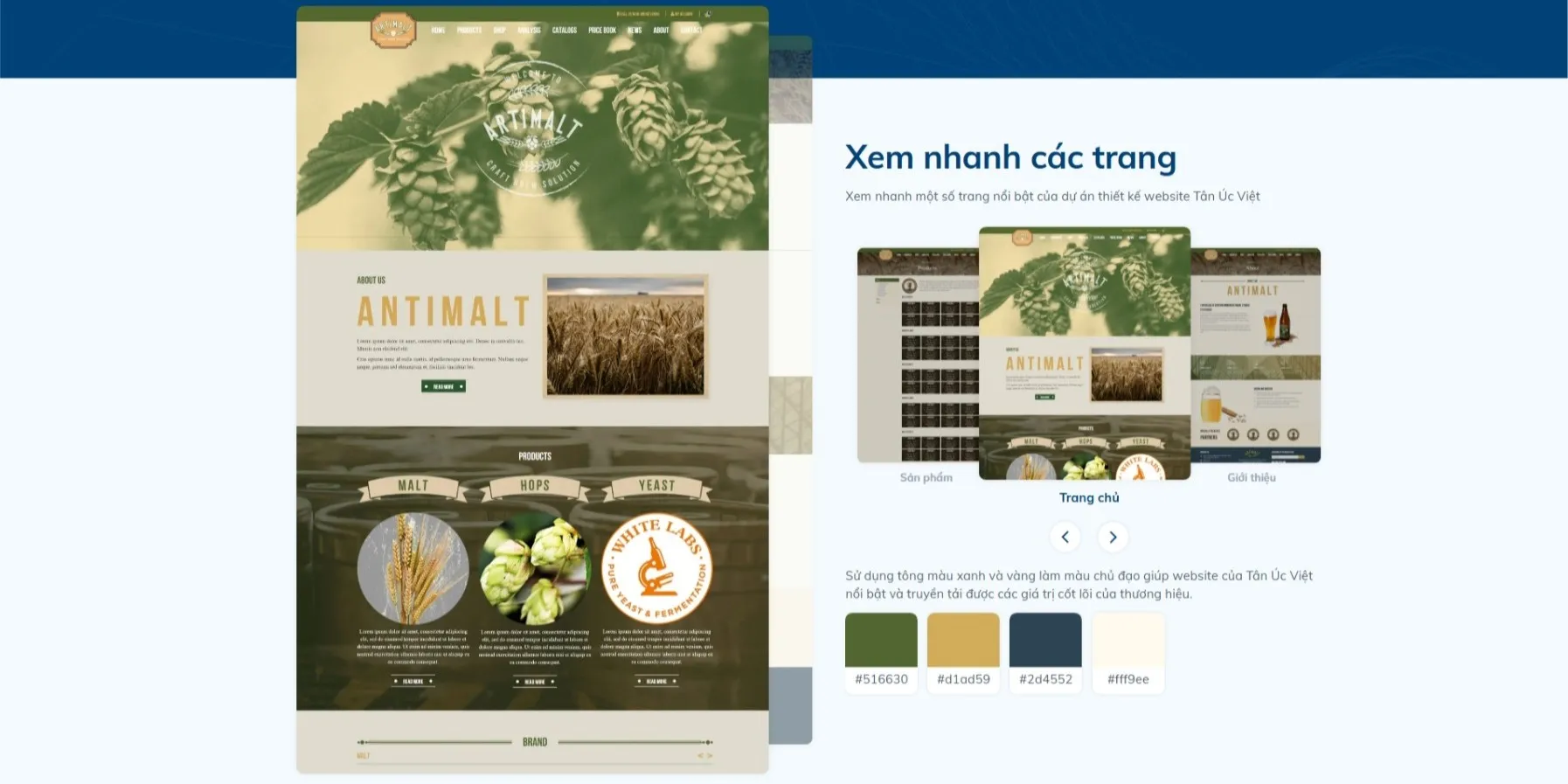 Tân Úc Việt 